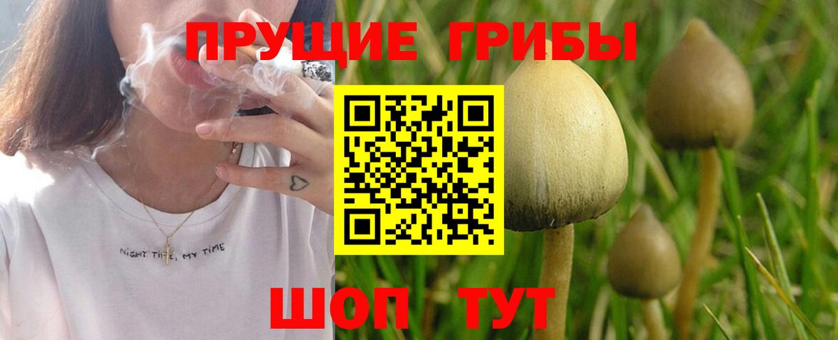 Псилоцибиновые грибы MAGIC MUSHROOMS  Вход с VPN  Галлюциногенные грибы мицелий  Барабинск 