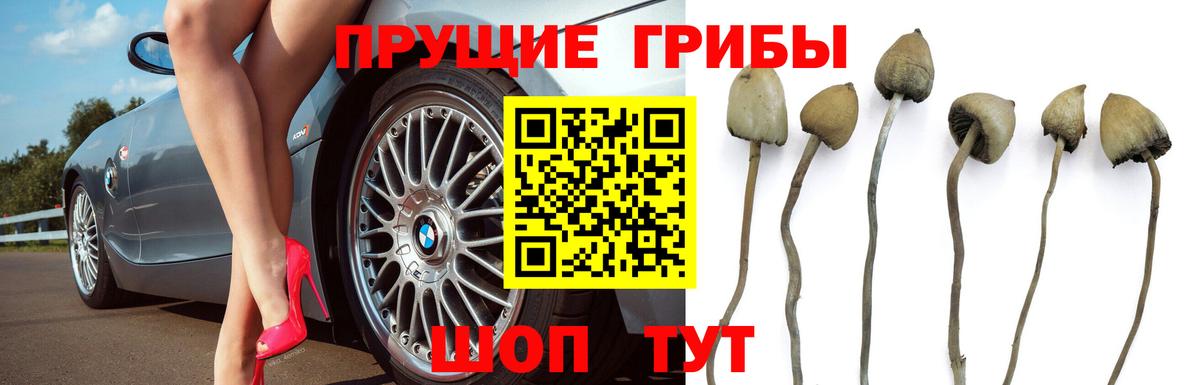 Псилоцибиновые грибы MAGIC MUSHROOMS Барабинск